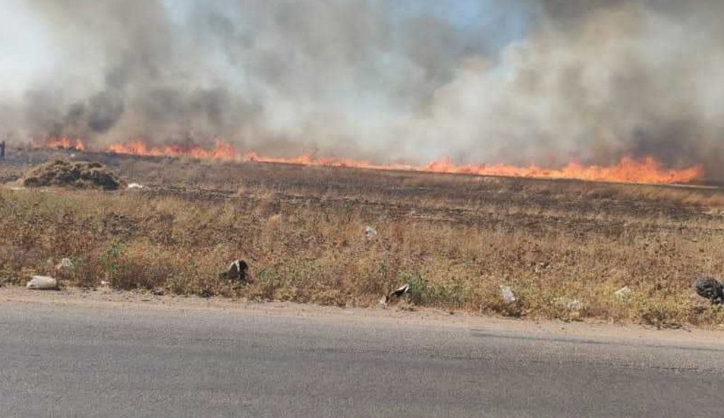 حريق يلتهم أرضًا زراعية مزروعة بالقمح في ريف درعا