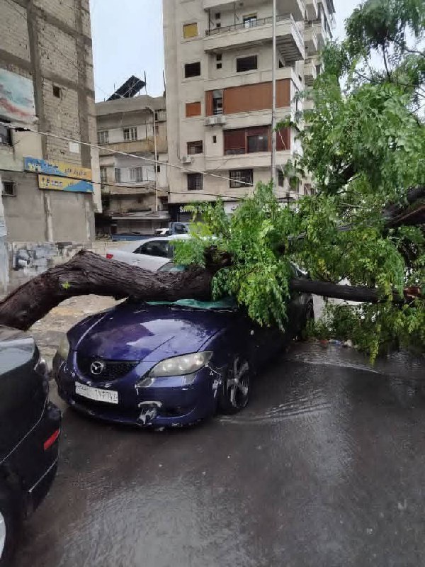 عاصفة مطرية وبَرَد تضرب اللاذقية وتتسبب بأضرار وفيضان نهر وادي قنديل
