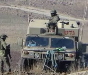 قوة إسرائيلية تتوغل في وادي الرقاد وتطلق النار قرب راعي أبقار وأطفاله