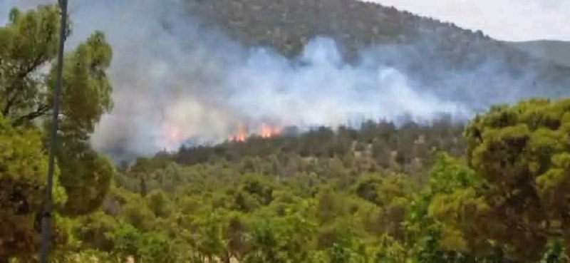 السيطرة على حريق في محيط قرية بسنديانا بريف جبلة