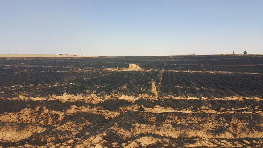 حرائق في محافظة الحسكة