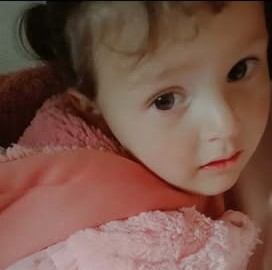 استمرار البحث عن طفلة مفقودة في بلدة غباغب شمالي درعا