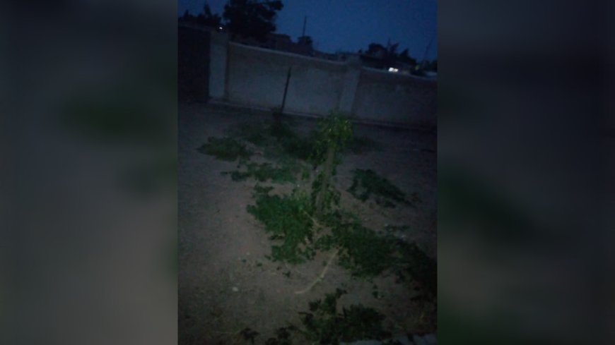 اعتداء على كنيسة في الحسكة